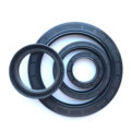 High Quality Shaft Seal Mechanical Hydraulic Tc Sc Oil Seal